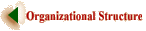 Organizational Structure