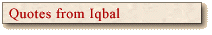 Quotes from Iqbal